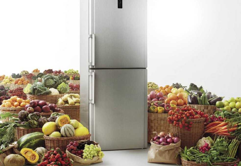 Топ холодильников цена качество 2024