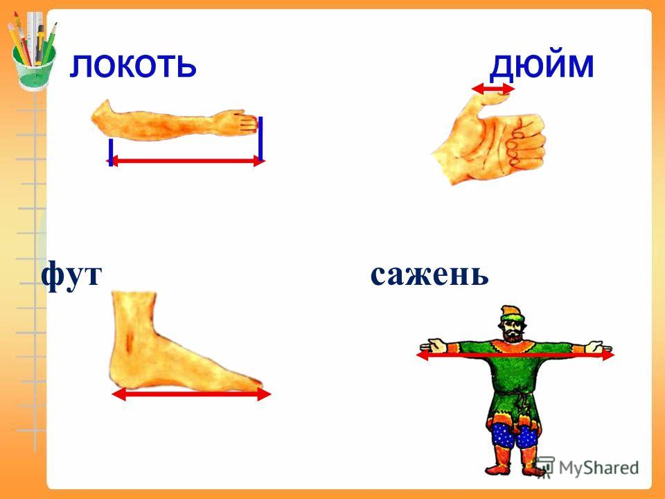 Фут длина. Сажень локоть. Меры длины локоть Аршин сажень.