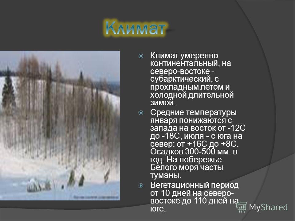 Климат окружающий мир 4 класс. Климат Архангельской области. Климат севера. Климат севера России. Климат европейского севера России.