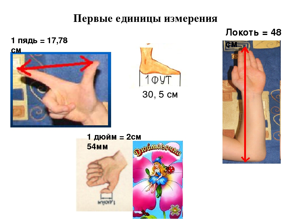 Пядь дюйм. Мера длины 1 дюйм. Старинные единицы измерения дюйм. Старинные меры длины дюйм. Первые единицы измерения.