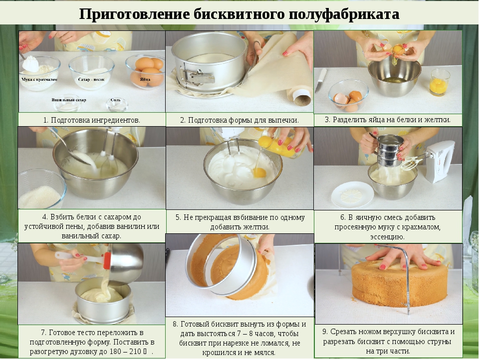 Тесто после духовки. Последовательность приготовления бисквитного полуфабриката. Технологическая схема бисквитного полуфабриката. Приготовление бисквитного полуфабриката основным способом. Процесс приготовления бисквитного торта.