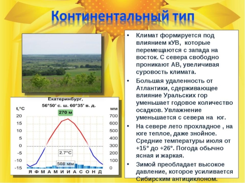 Пояса по осадкам. Умеренно континентальный климат схема. Континентальный Тип климата. Континентальный Тип климата в России. Континентальный климат характеристика.