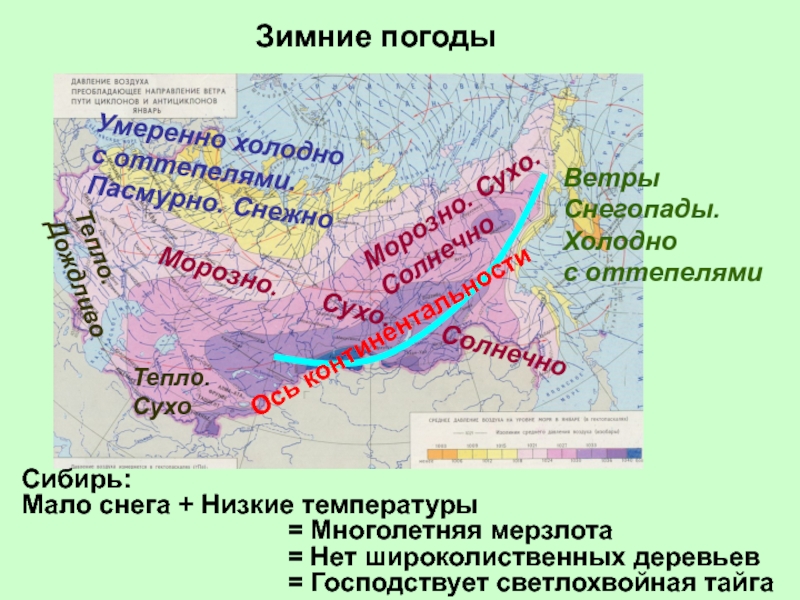 Умеренно холодный климат. Физико-географические факторы. Физико-географическая дифференциация. Критерии физико географические термина. Дифференциация от территориальный климатических условиях.